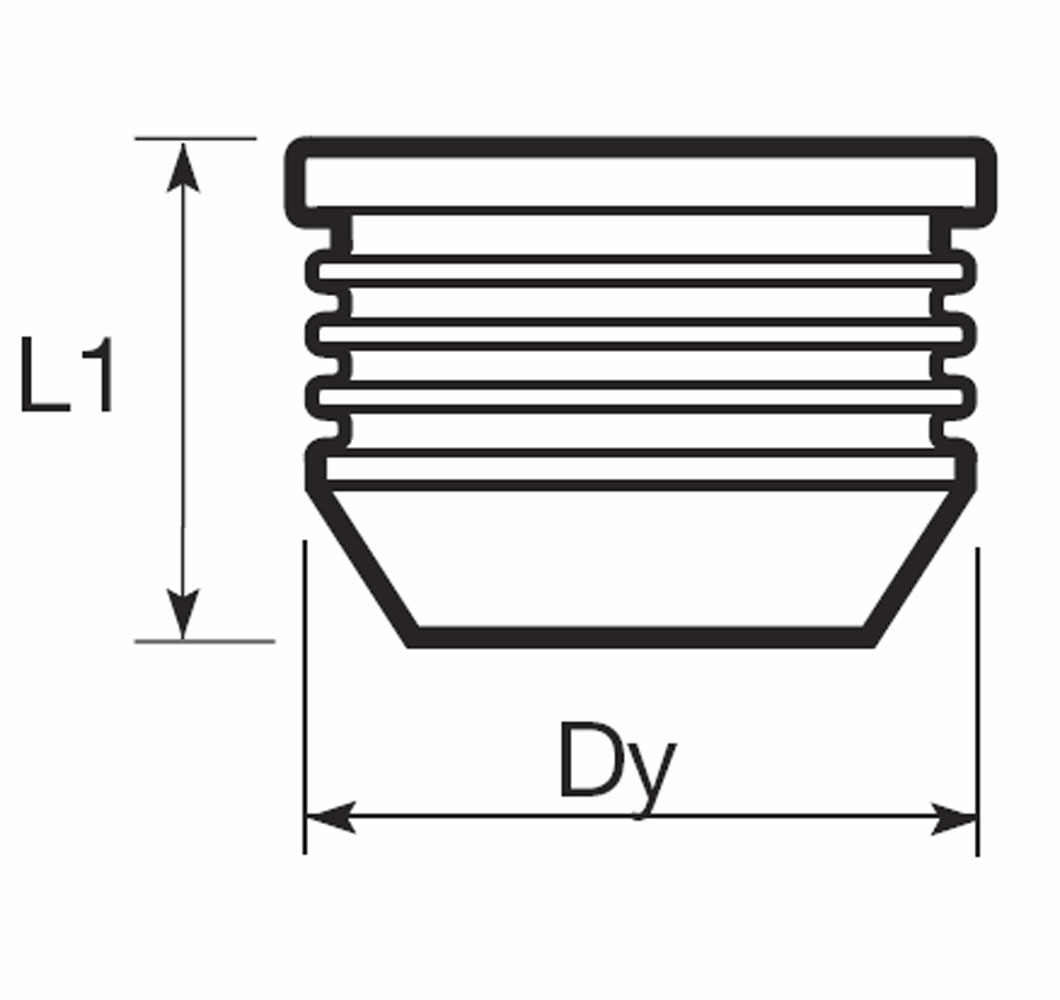 Technical line drawing of a threaded screw cap showing height L1 and diameter Dy