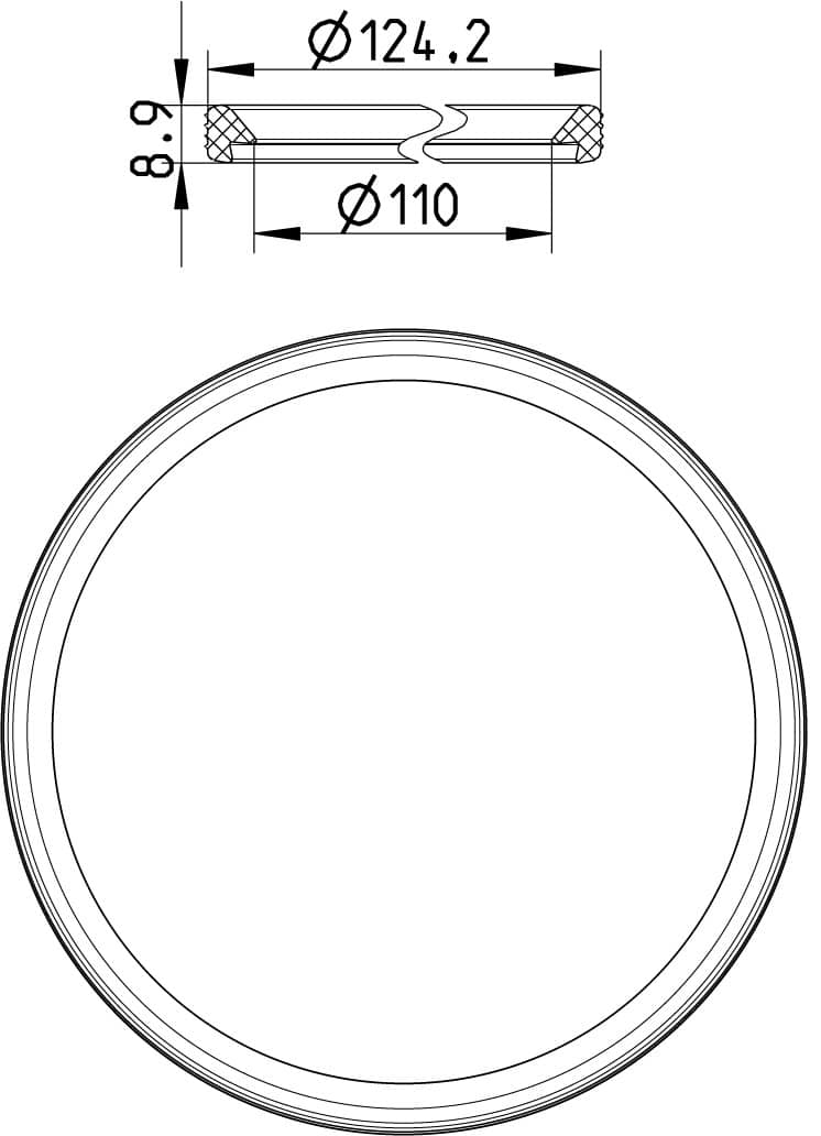Technical drawing of a circular ring/seal with outer diameter 124.2 mm and inner diameter 110 mm; cross-section shows a 8.9 mm thick wall. Front and cross-sectional views imply a hollow ring.