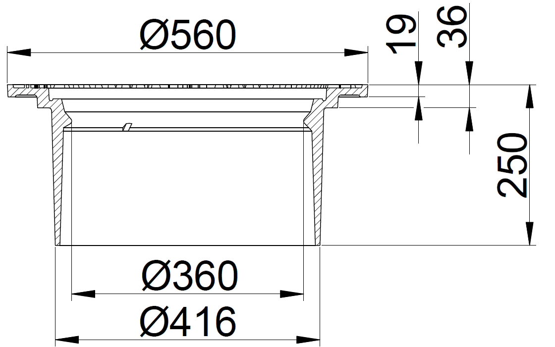 Cross‑sectional side view of a cylindrical recessed housing with a top flange. Key dimensions shown: outer Ø560, inner passages Ø360 and Ø416, and a total height of 250 with additional vertical features of 19 and 36.