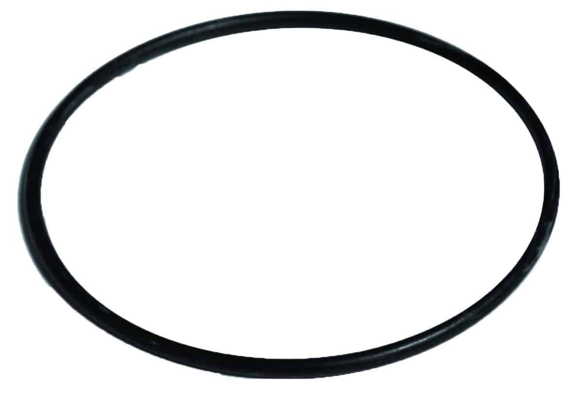 Black circular rubber O-ring on a white background.