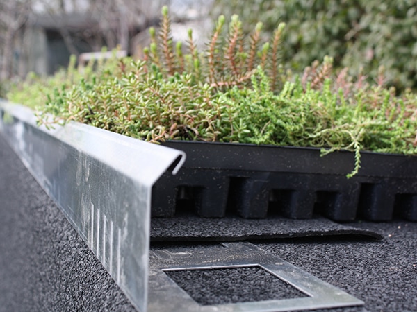 Close-up of a metal rail along a roof with a rectangular planter containing green and reddish succulents.