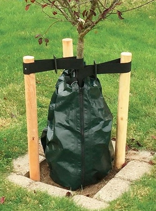 Dark green bag tied around a young tree trunk inside a small square tree pit, supported by wooden posts and a black strap/guard rail.