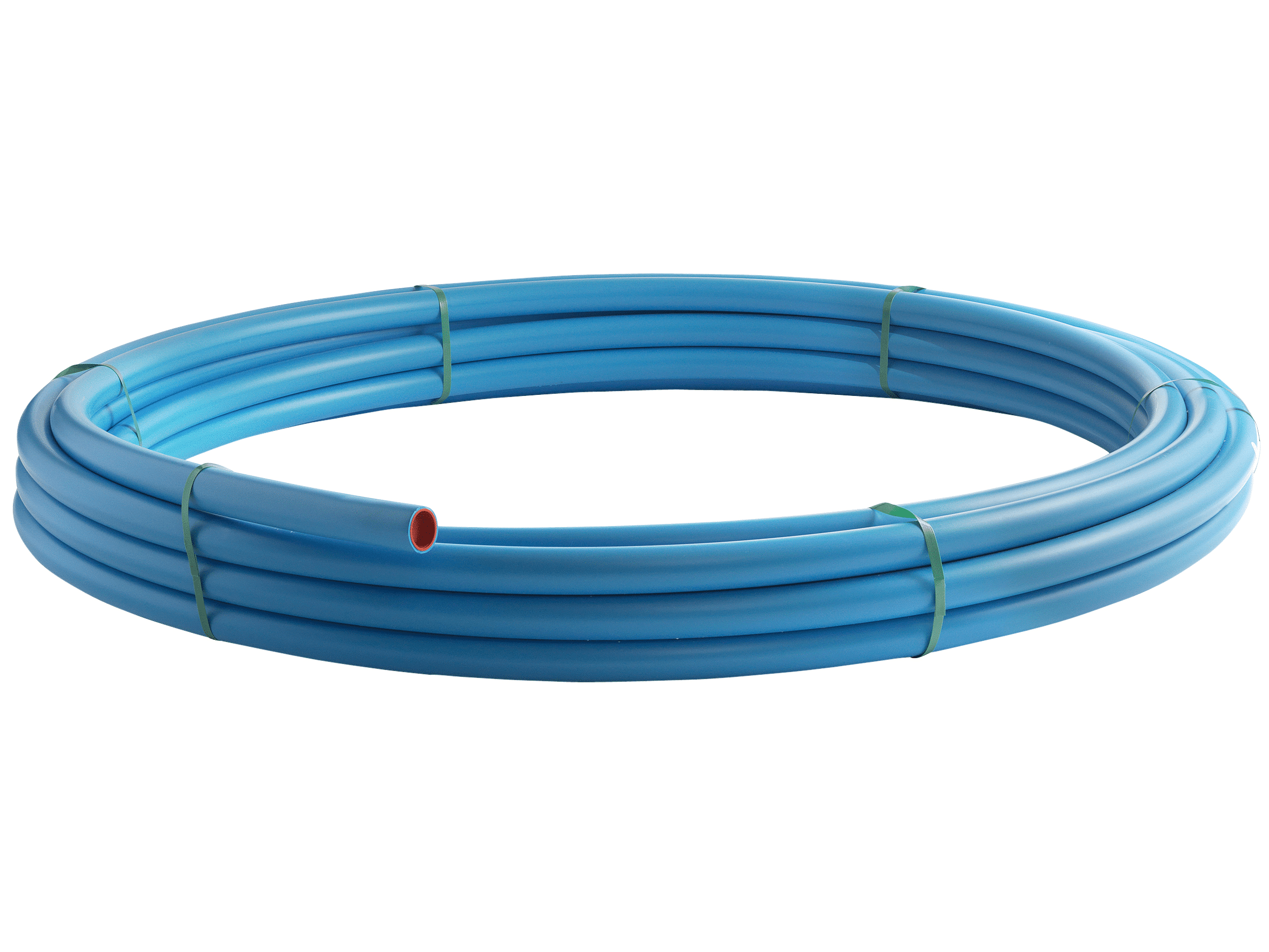 Coiled blue plastic hose/tubing tied with green straps, viewed from the side.